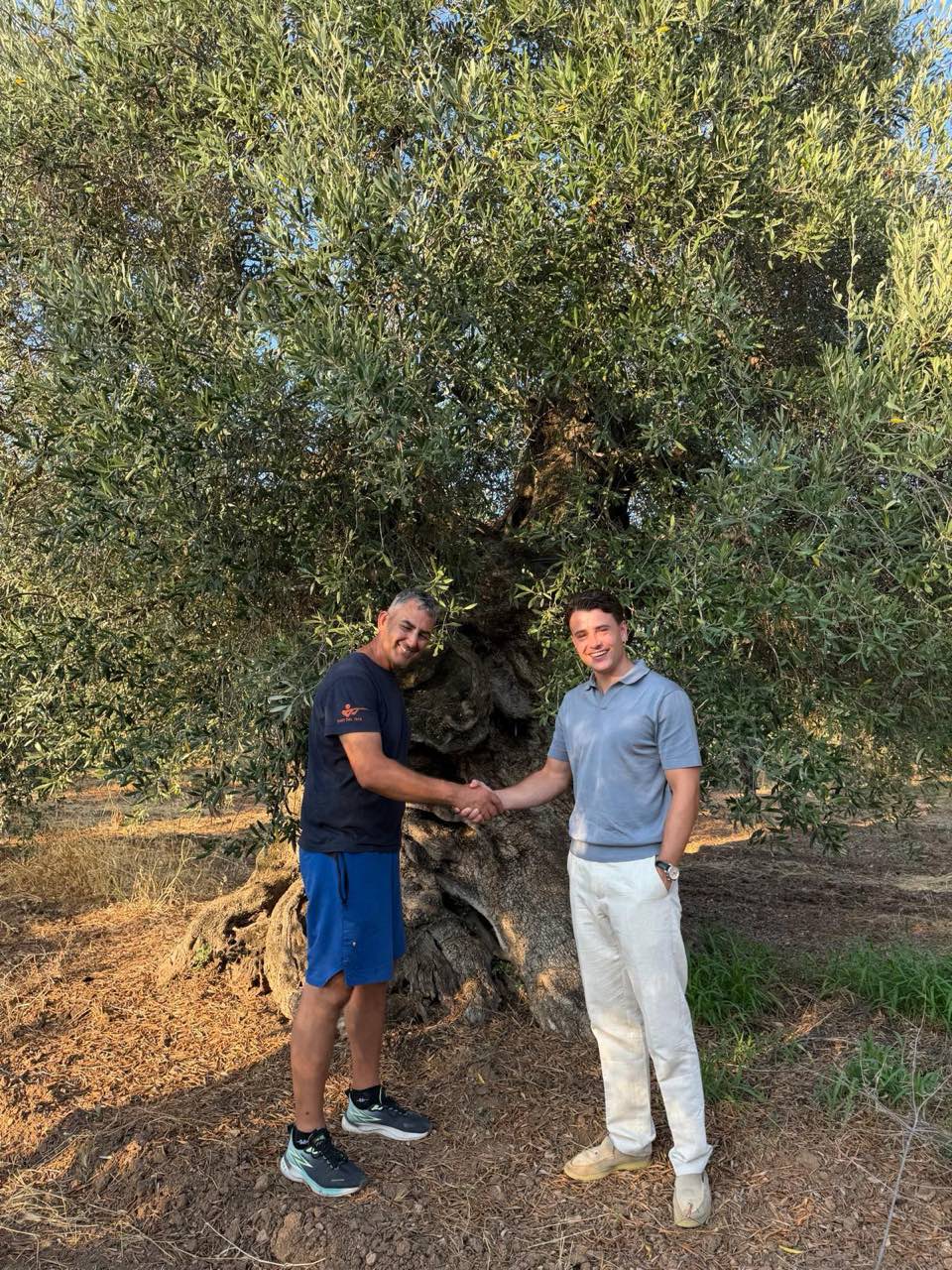 Maurice en de olijfboer geven elkaar een hand voor de stam van een oude olijfboom in de boomgaard bij Taranto