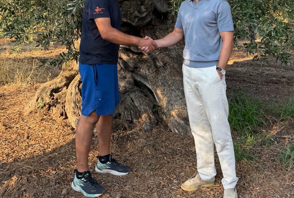 Maurice en de olijfboer geven elkaar een hand voor de stam van de 250 jaar oude olijfboom in Taranto, Puglia