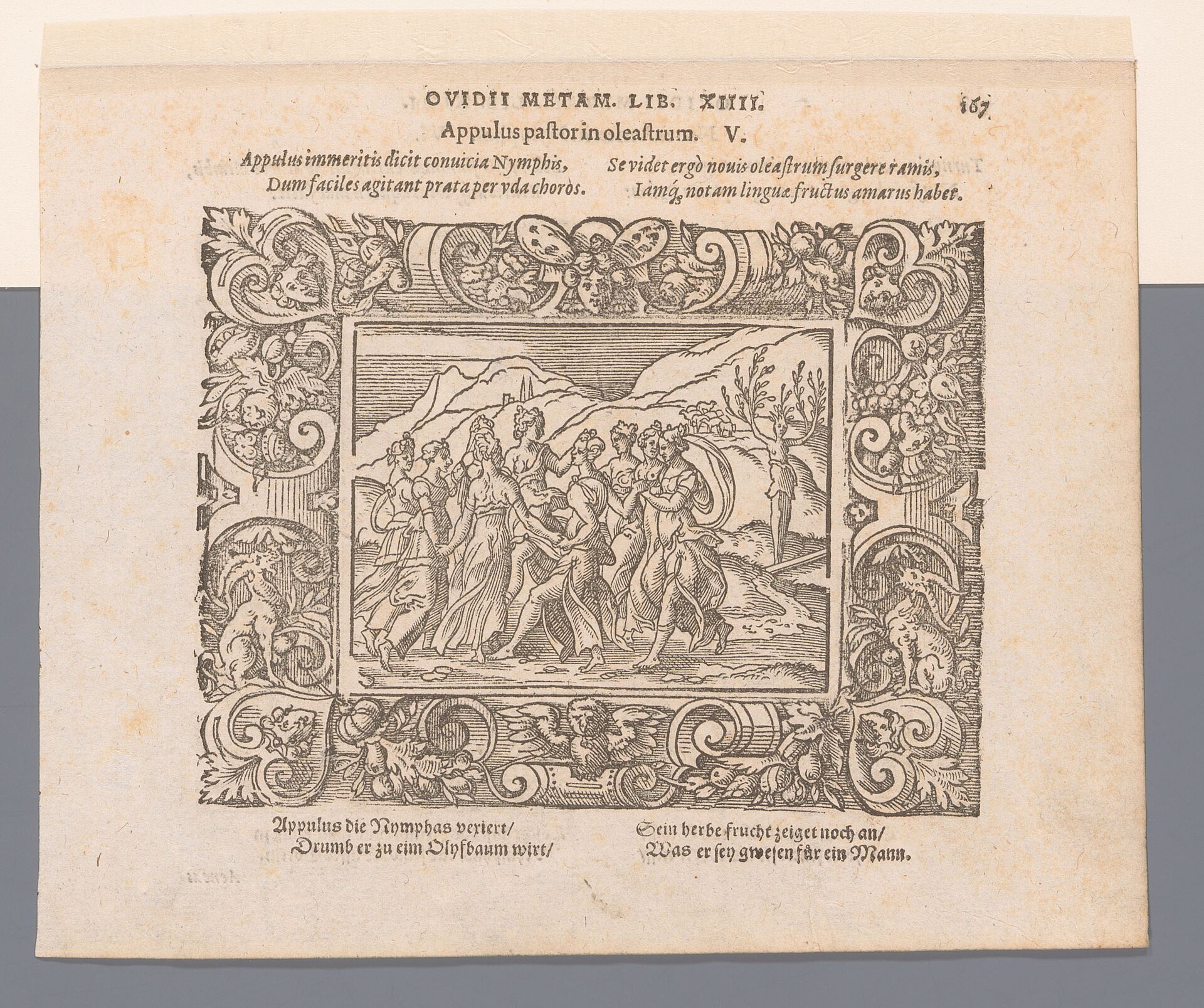 Prent uit 1569 van de Ovidius-mythe waarin een herder uit Apulië in een olijfboom verandert, terwijl nimfen toekijken