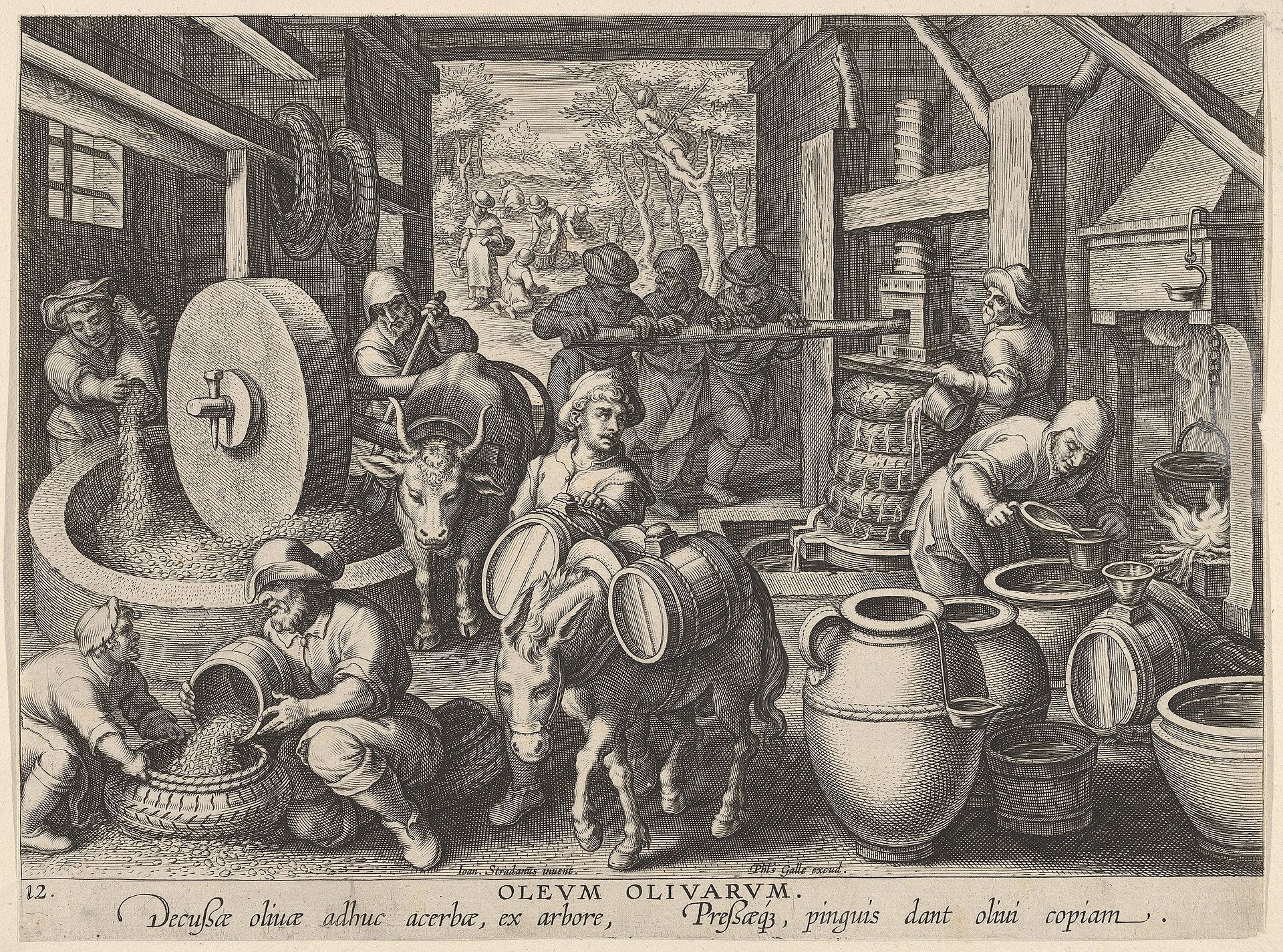 Zeventiende-eeuwse prent van het maken van olijfolie, met een maalsteen, een schroefpers en werkers die manden vullen