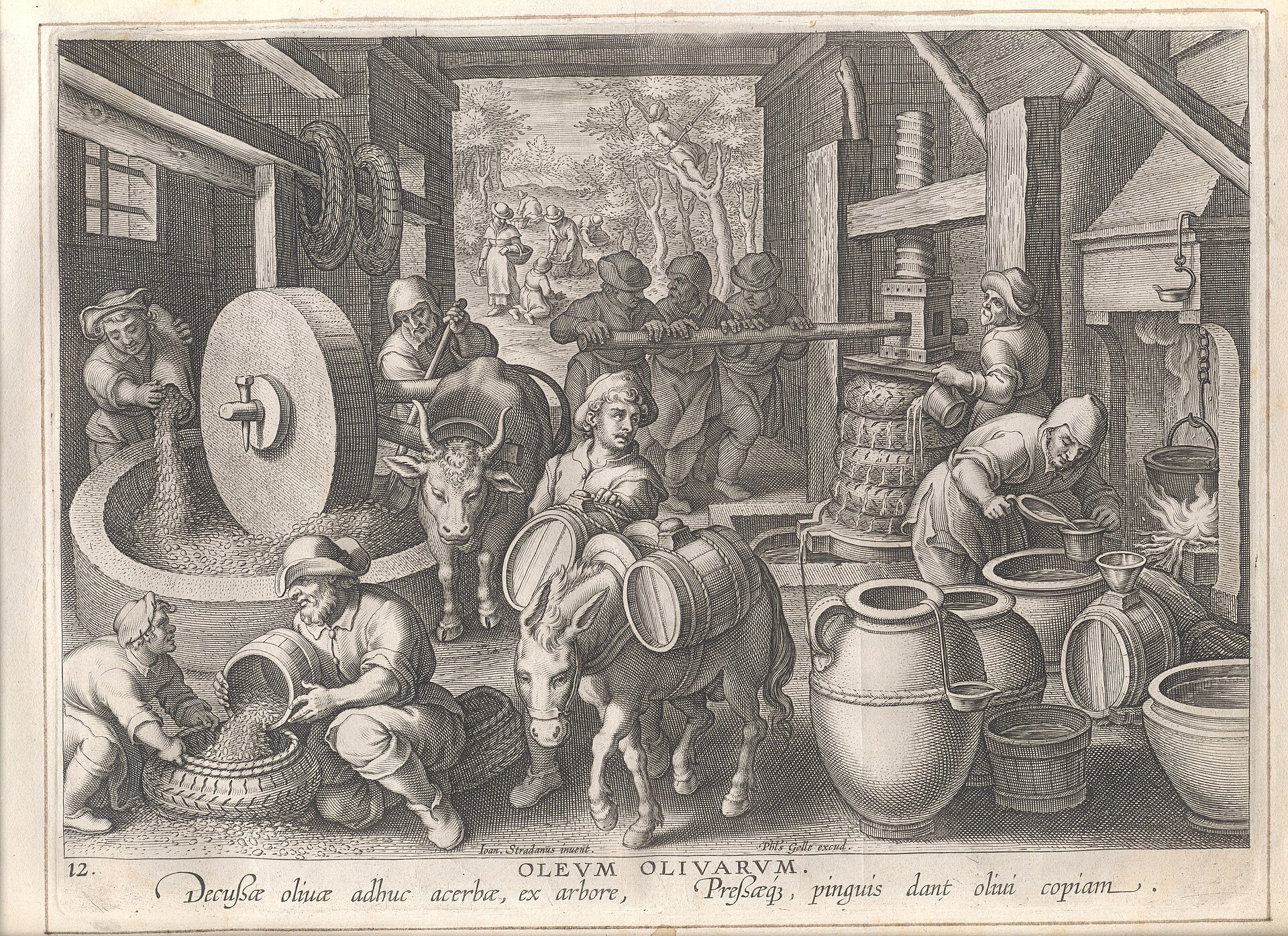 Zestiende-eeuwse gravure van de uitvinding van de olijfpers, met werkers rond een grote schroefpers